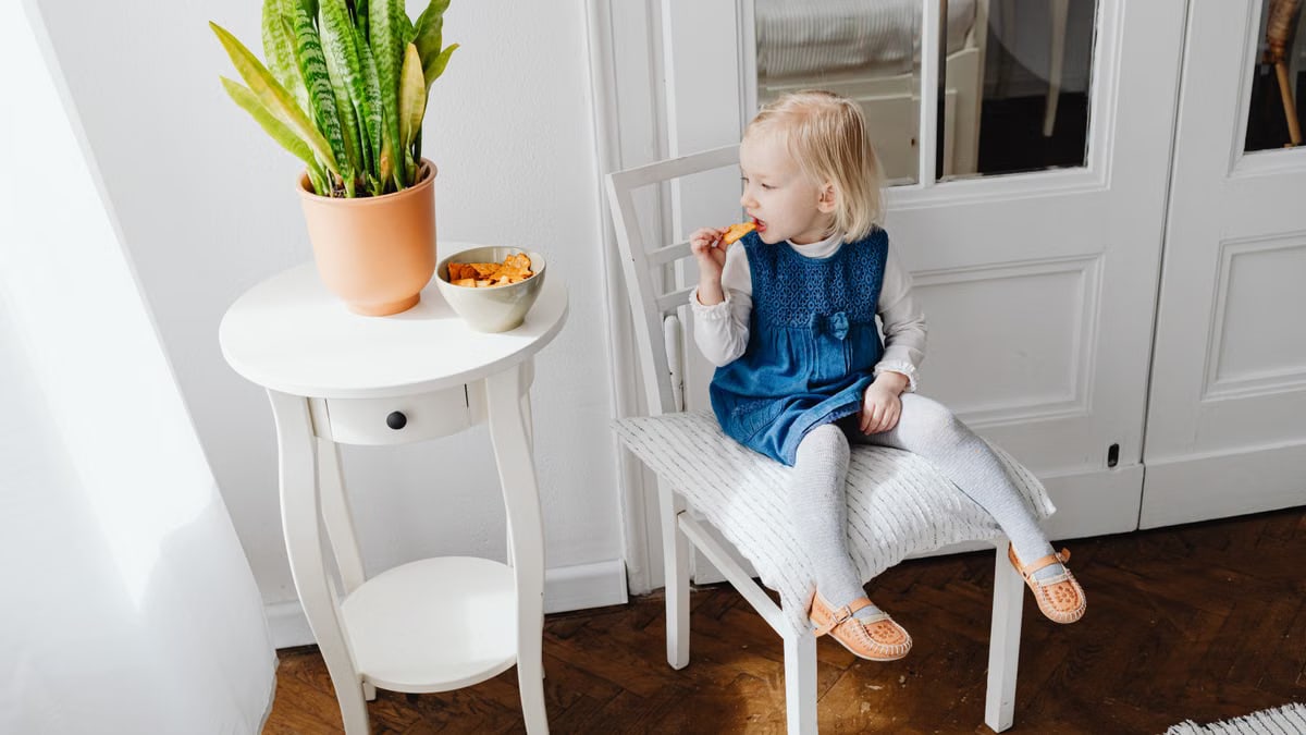 A young girl sits on a chair eating a snack near a potted plant indoors.